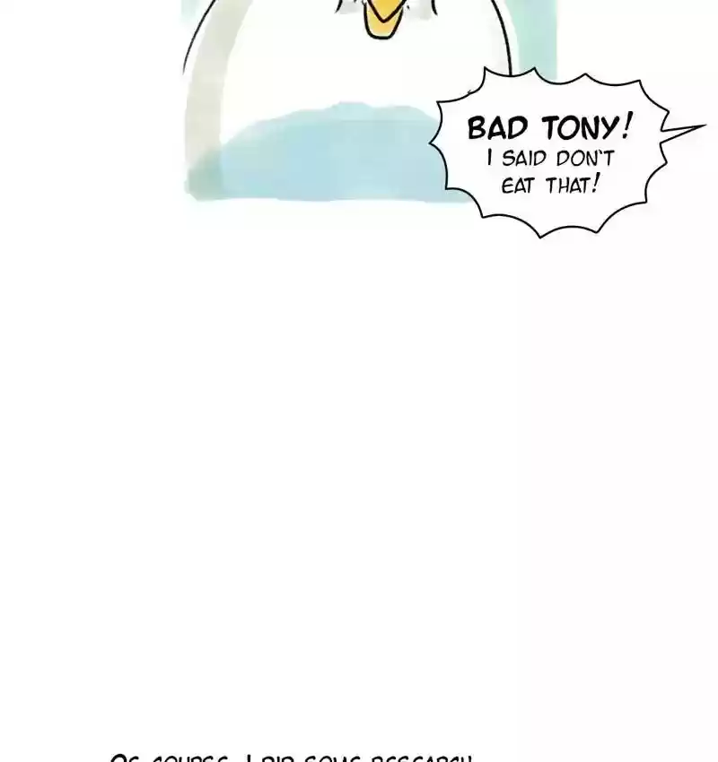 A Budgie's Life Chapter 92: Ep.92: