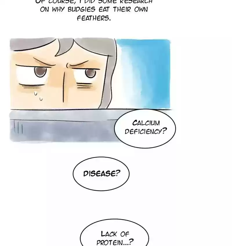 A Budgie's Life Chapter 92: Ep.92: