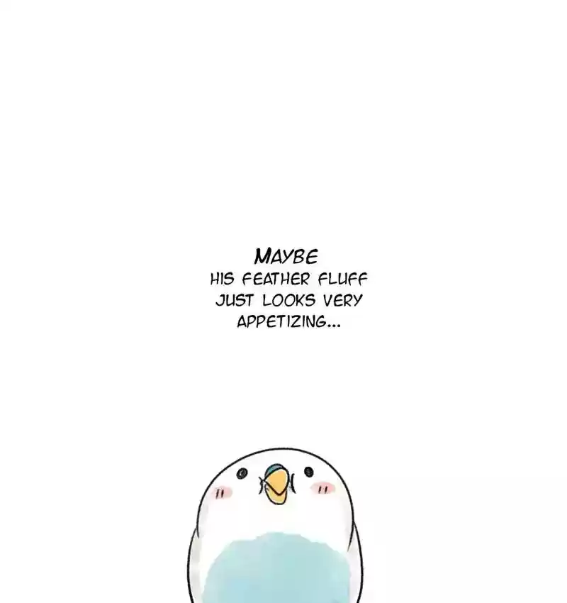 A Budgie's Life Chapter 92: Ep.92: