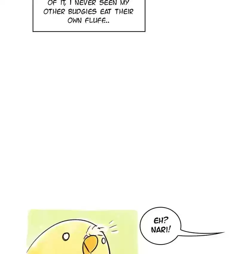 A Budgie's Life Chapter 92: Ep.92: