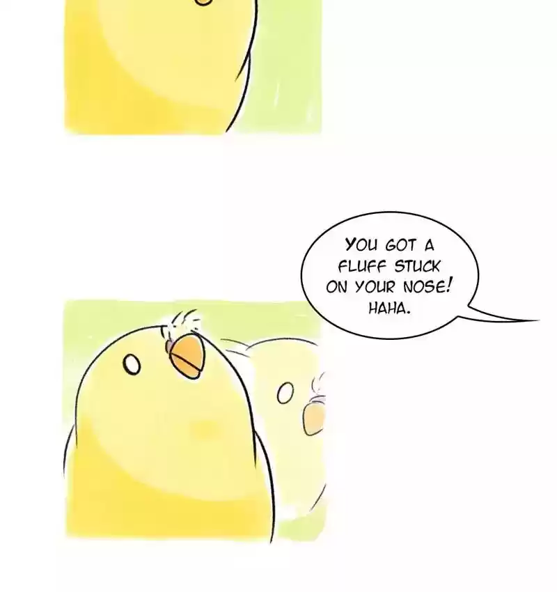 A Budgie's Life Chapter 92: Ep.92: