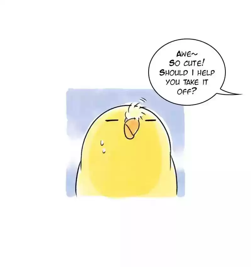 A Budgie's Life Chapter 92: Ep.92: