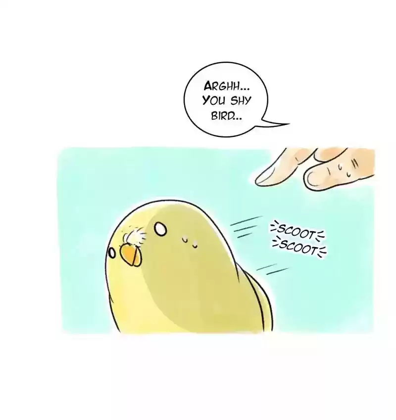A Budgie's Life Chapter 92: Ep.92: