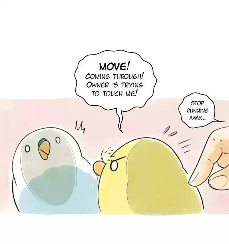A Budgie's Life Chapter 92: Ep.92:
