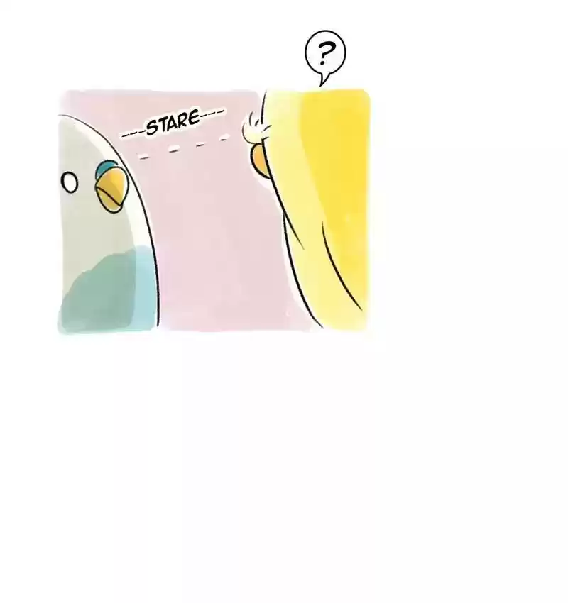 A Budgie's Life Chapter 92: Ep.92: