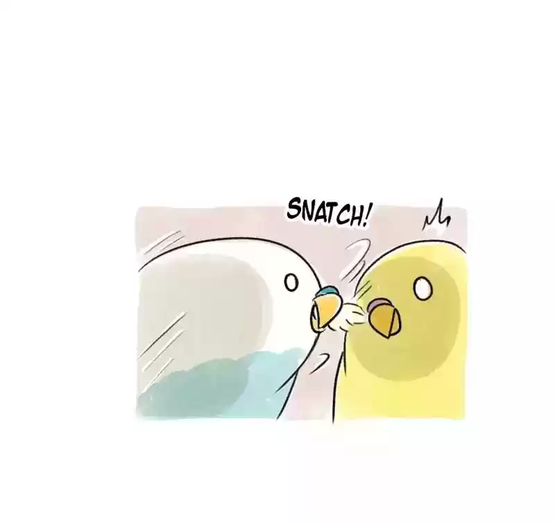 A Budgie's Life Chapter 92: Ep.92: