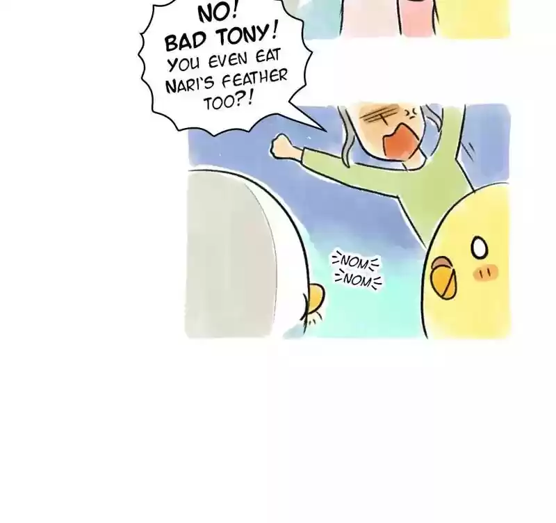 A Budgie's Life Chapter 92: Ep.92: