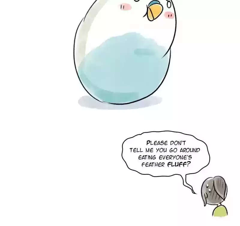 A Budgie's Life Chapter 92: Ep.92: