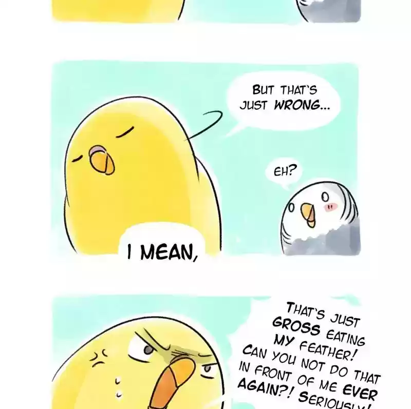 A Budgie's Life Chapter 92: Ep.92: