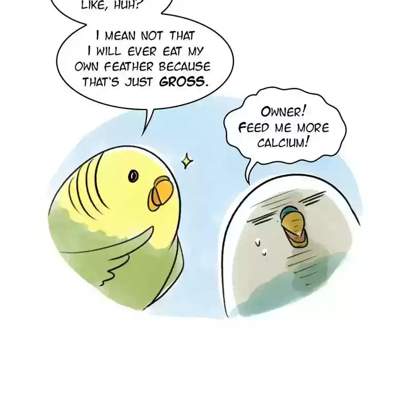 A Budgie's Life Chapter 92: Ep.92: