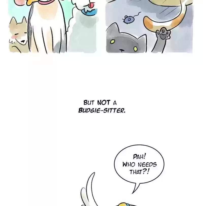 A Budgie's Life Chapter 93: Ep.93: