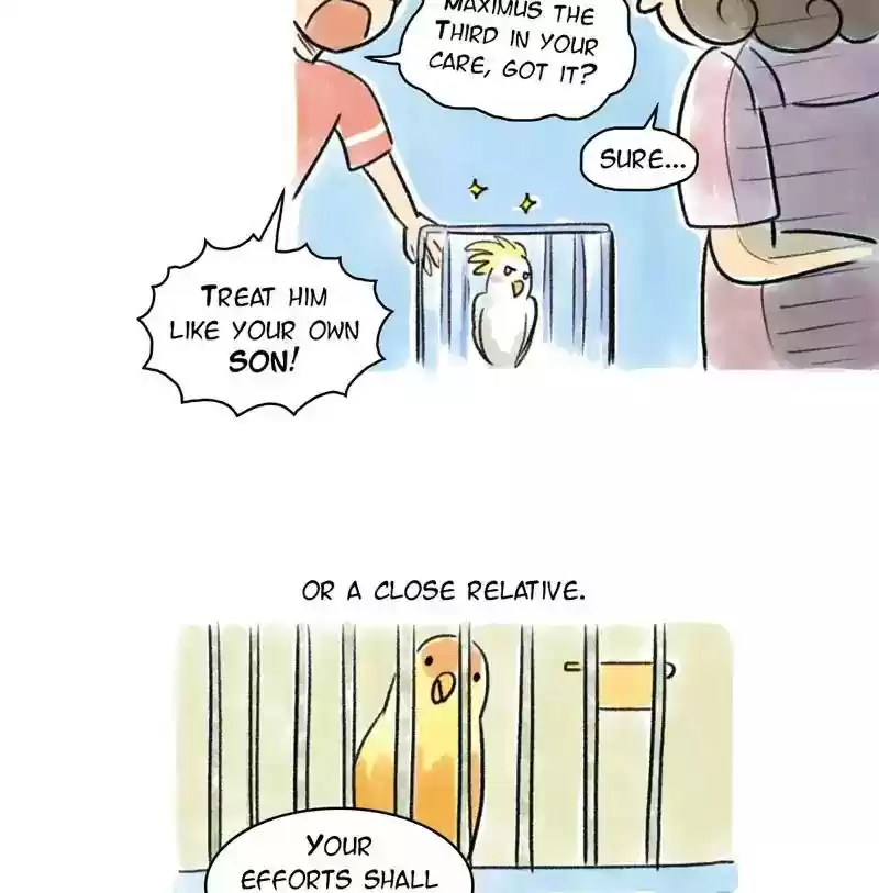 A Budgie's Life Chapter 93: Ep.93: