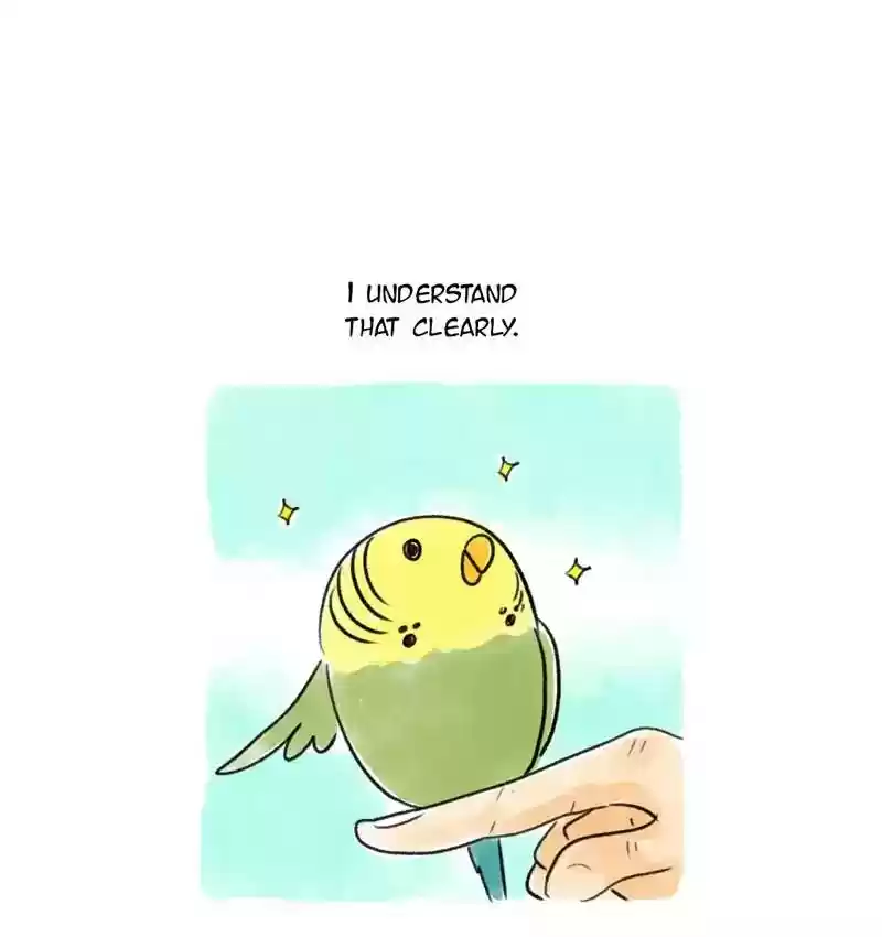 A Budgie's Life Chapter 93: Ep.93: