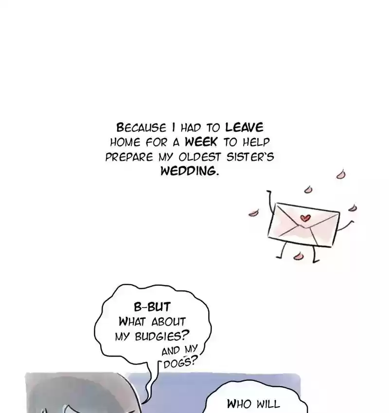 A Budgie's Life Chapter 93: Ep.93: