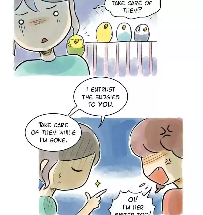 A Budgie's Life Chapter 93: Ep.93: