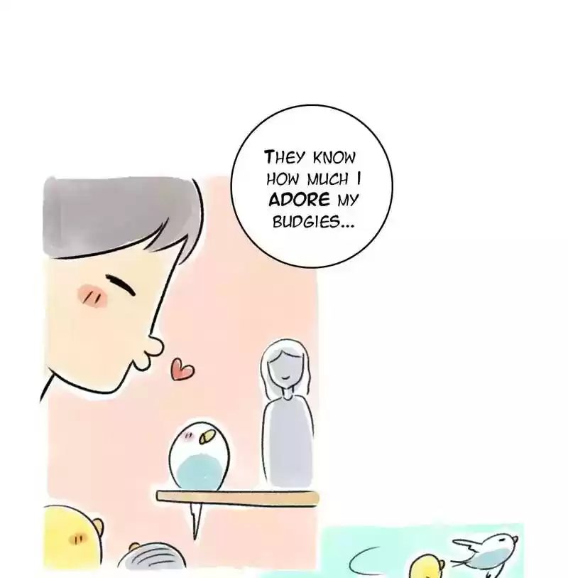A Budgie's Life Chapter 93: Ep.93: