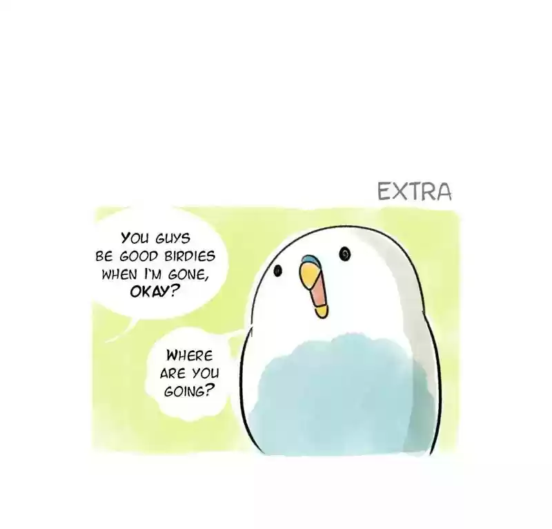 A Budgie's Life Chapter 93: Ep.93: