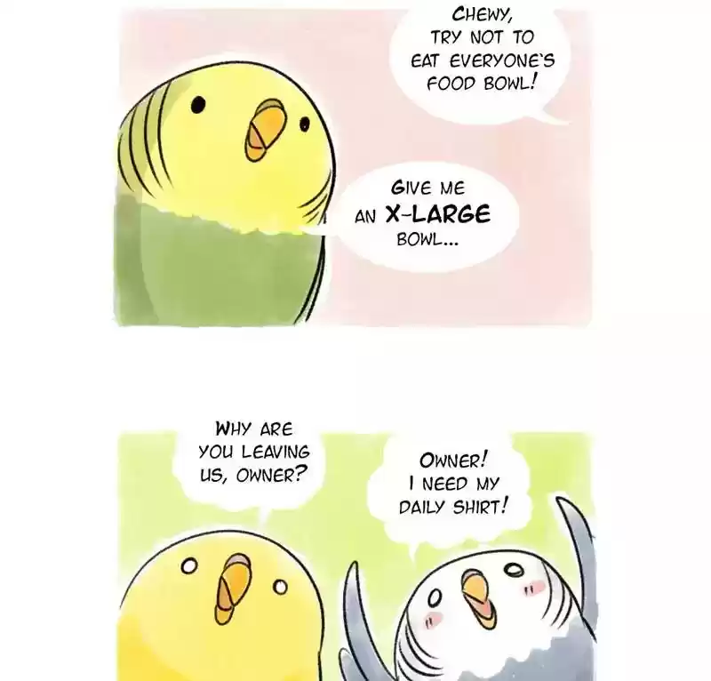 A Budgie's Life Chapter 93: Ep.93: