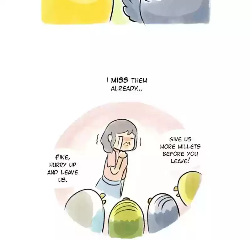 A Budgie's Life Chapter 93: Ep.93: