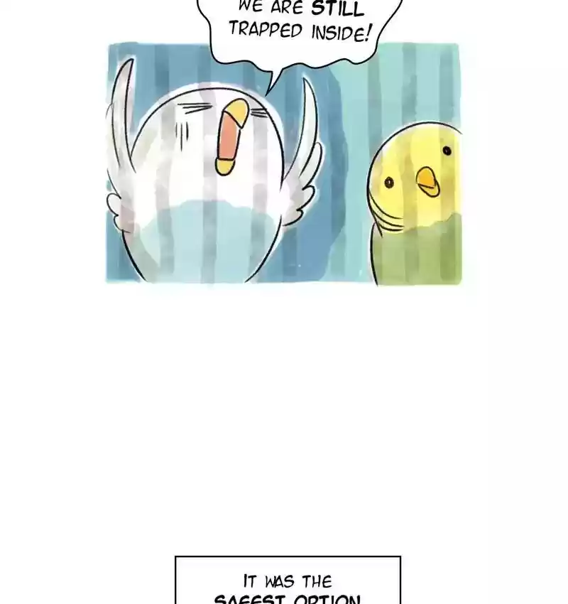 A Budgie's Life Chapter 94: Ep.94: