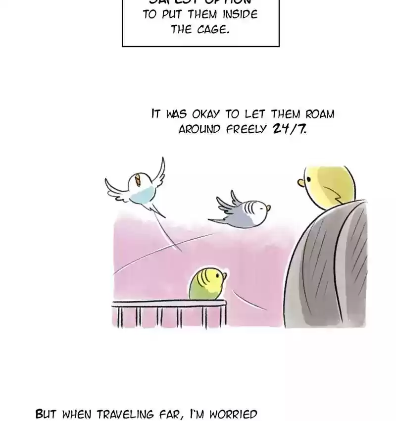 A Budgie's Life Chapter 94: Ep.94: