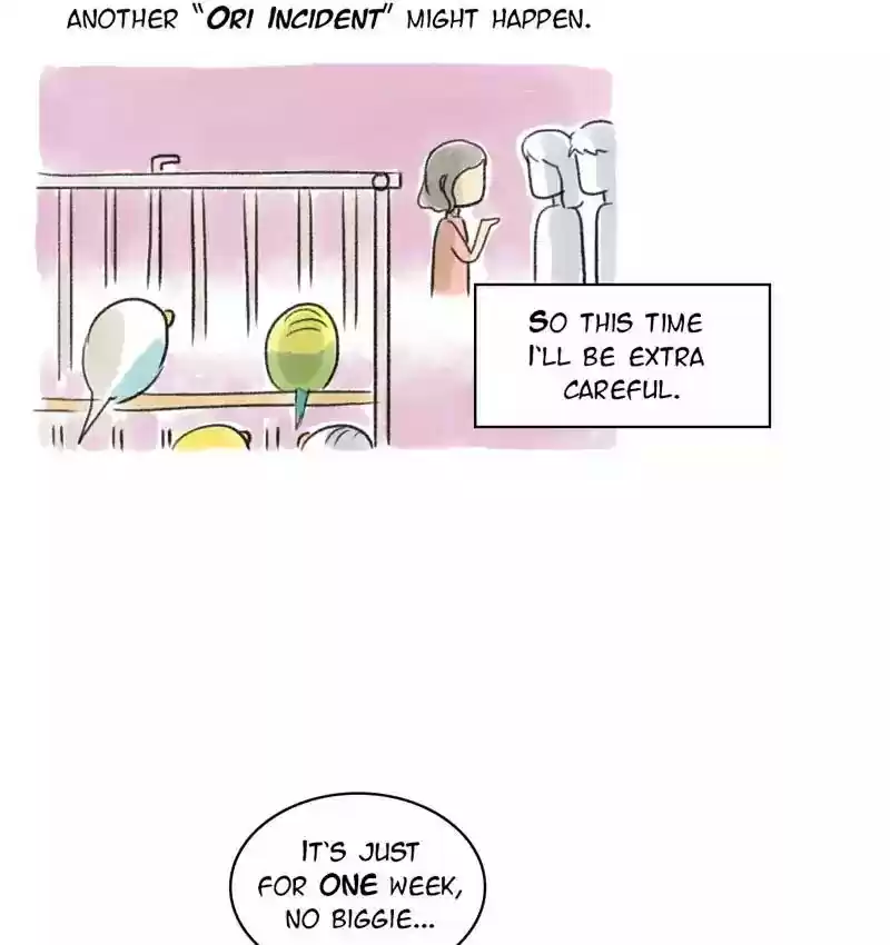 A Budgie's Life Chapter 94: Ep.94: