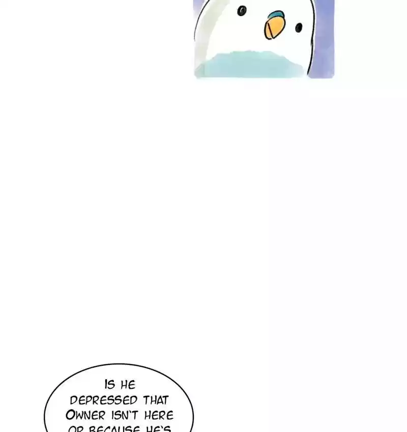 A Budgie's Life Chapter 94: Ep.94: