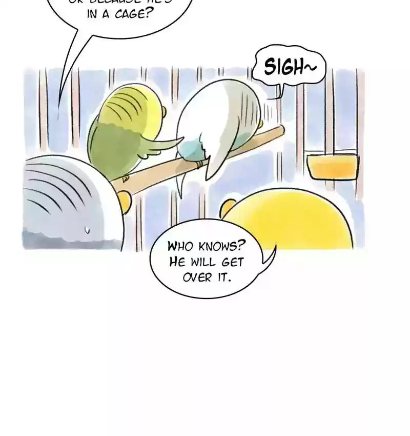 A Budgie's Life Chapter 94: Ep.94: