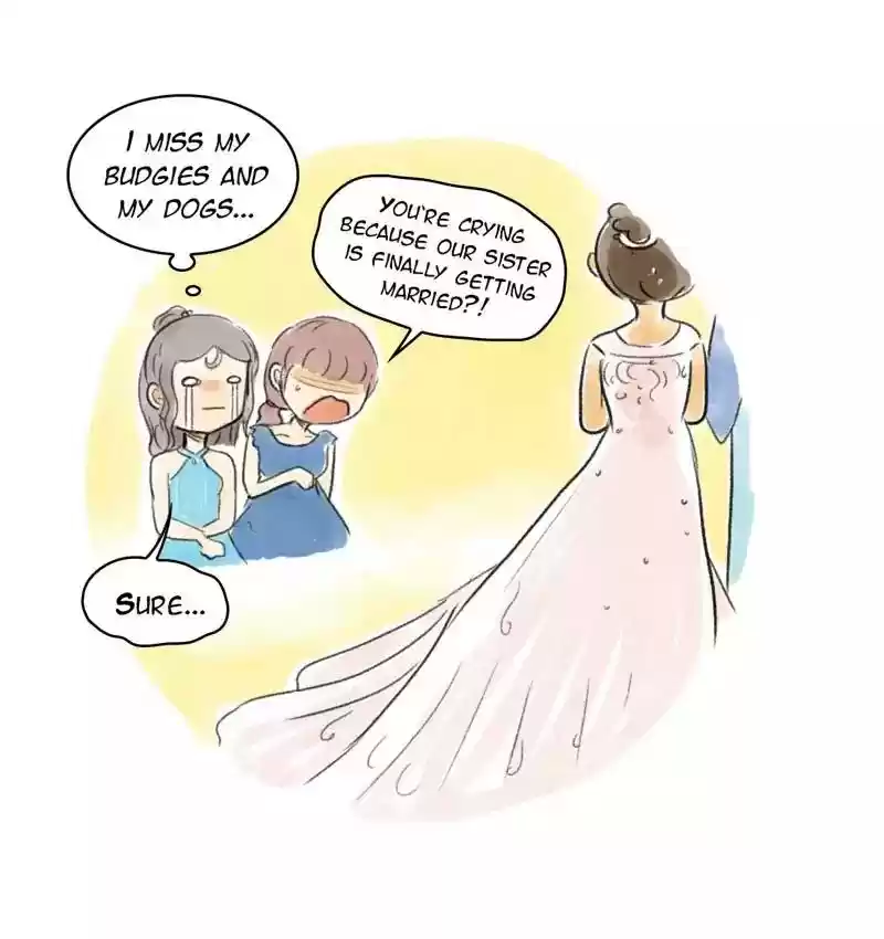 A Budgie's Life Chapter 94: Ep.94: