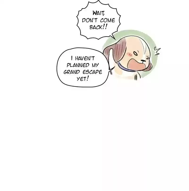 A Budgie's Life Chapter 94: Ep.94: