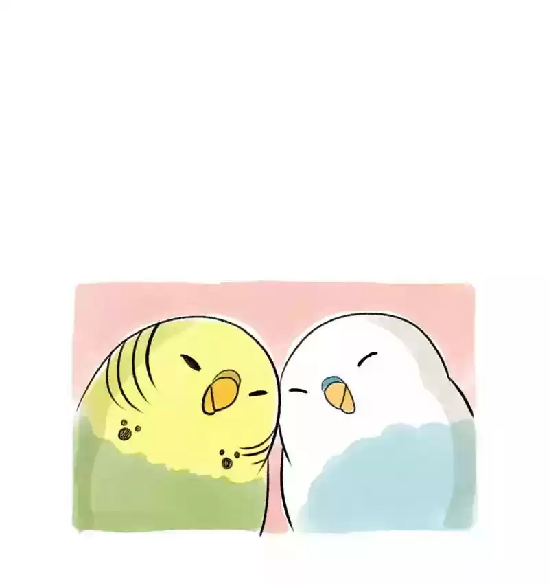 A Budgie's Life Chapter 95: Ep.95: