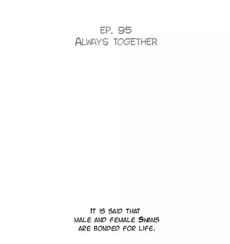 A Budgie's Life Chapter 95: Ep.95: