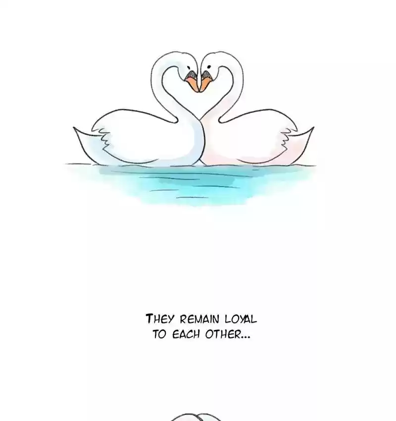 A Budgie's Life Chapter 95: Ep.95: