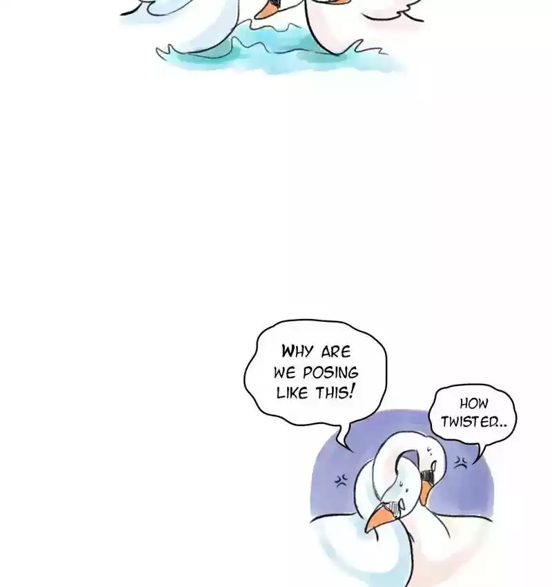 A Budgie's Life Chapter 95: Ep.95: