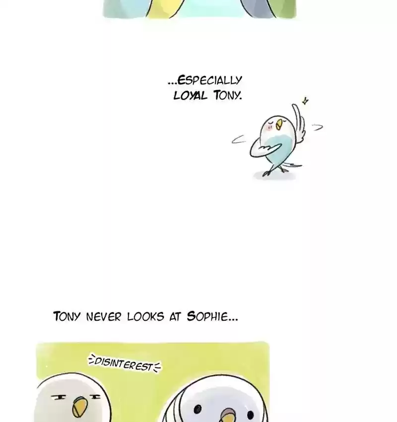 A Budgie's Life Chapter 95: Ep.95:
