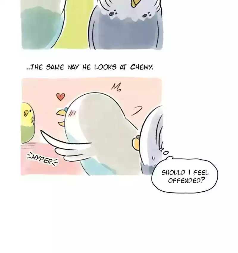 A Budgie's Life Chapter 95: Ep.95: