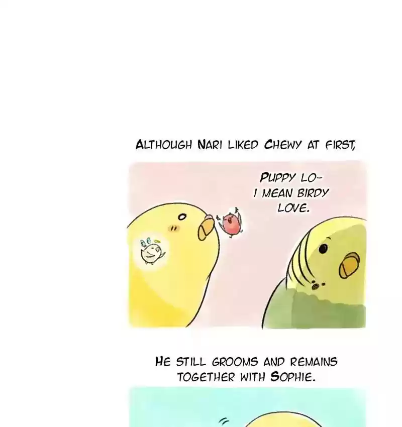 A Budgie's Life Chapter 95: Ep.95: