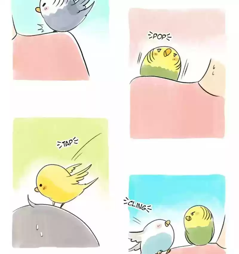 A Budgie's Life Chapter 95: Ep.95: