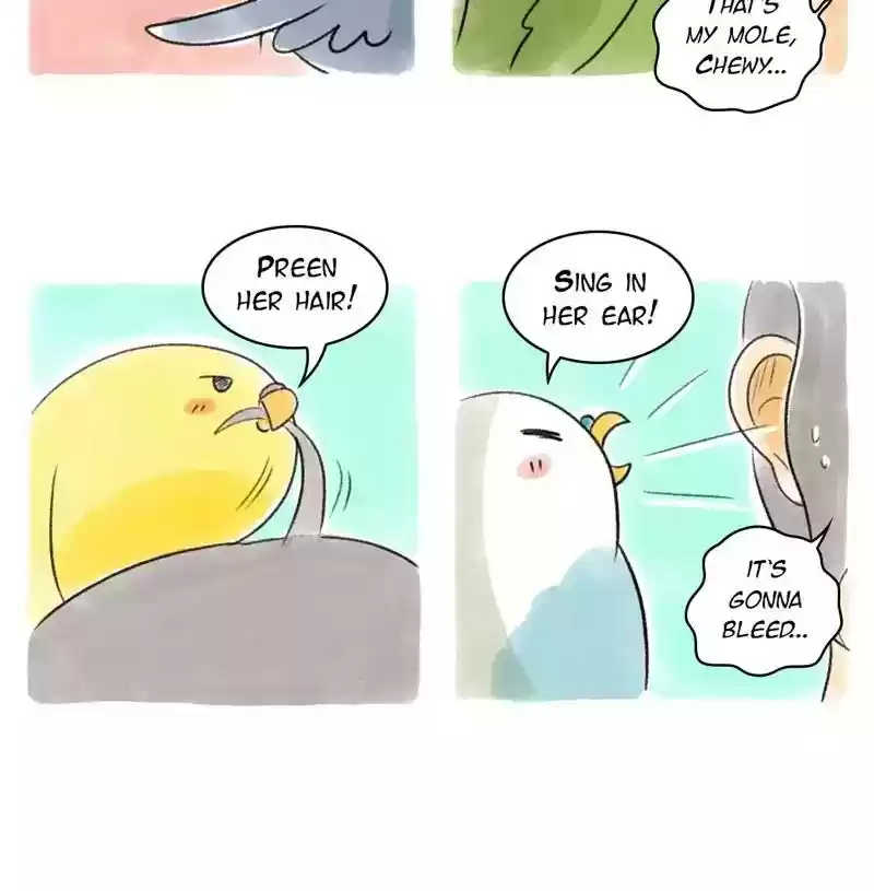 A Budgie's Life Chapter 95: Ep.95: