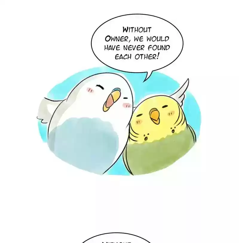 A Budgie's Life Chapter 95: Ep.95: