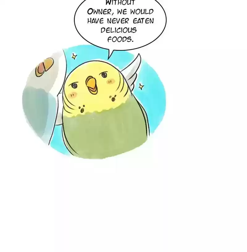 A Budgie's Life Chapter 95: Ep.95: