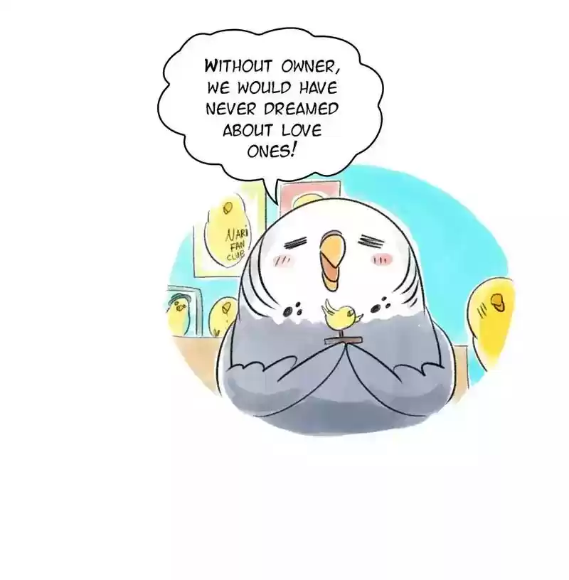 A Budgie's Life Chapter 95: Ep.95: