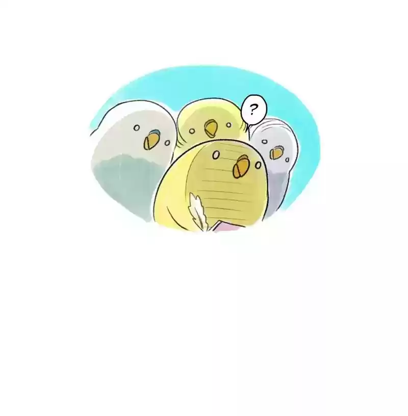 A Budgie's Life Chapter 95: Ep.95:
