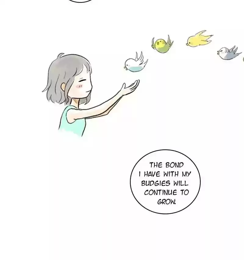 A Budgie's Life Chapter 95: Ep.95: