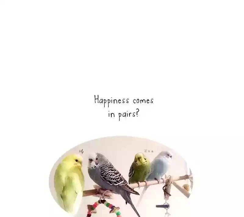A Budgie's Life Chapter 95: Ep.95: