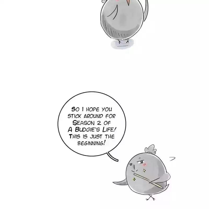 A Budgie's Life Chapter 95: Ep.95: