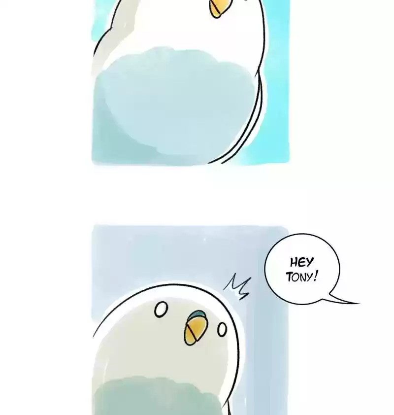 A Budgie's Life Chapter 96: Ep.96: