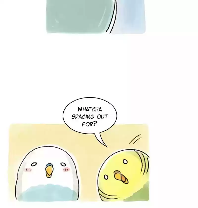 A Budgie's Life Chapter 96: Ep.96: