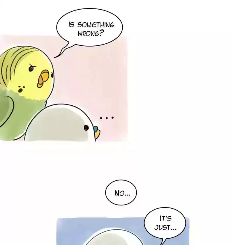 A Budgie's Life Chapter 96: Ep.96: