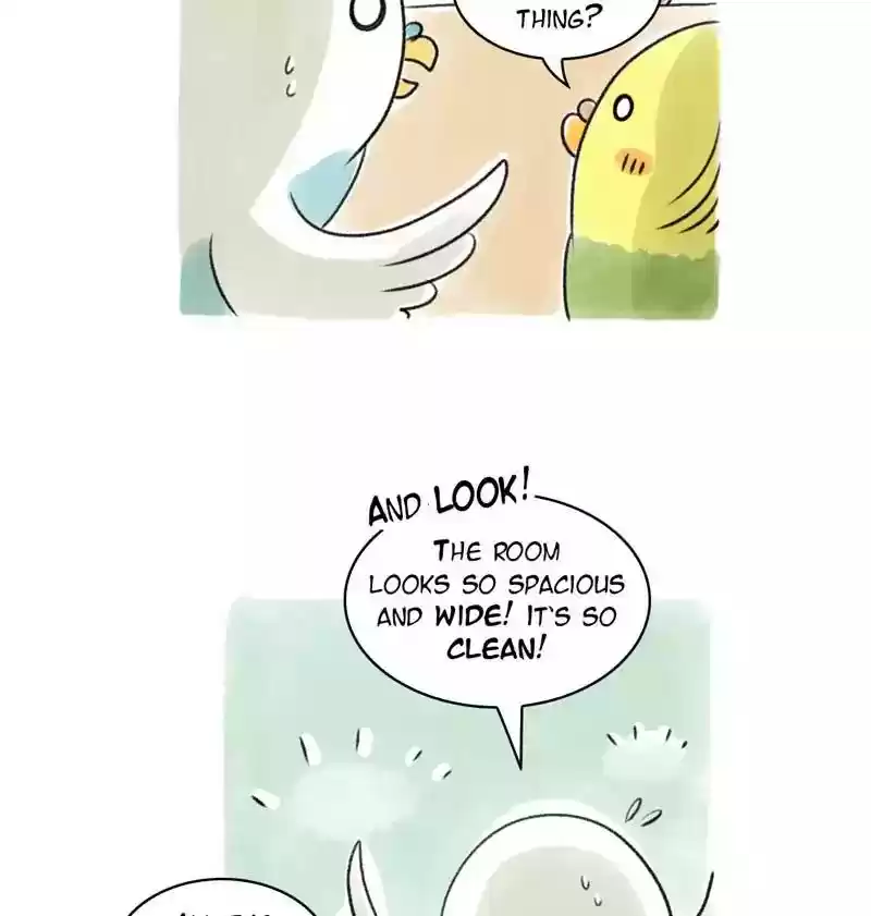 A Budgie's Life Chapter 96: Ep.96: